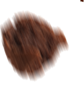 biscuit
