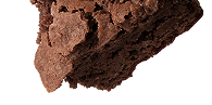 biscuit